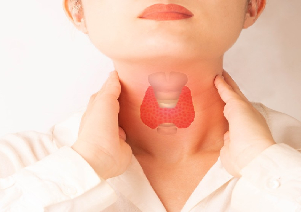 Neck/Thyroid Ultrasound
